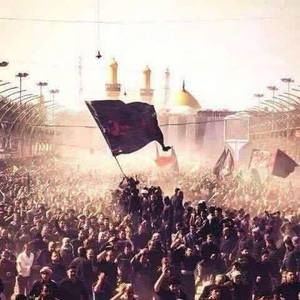 Meet your Posher, Ali shayan